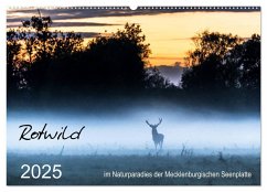 Rotwild - im Naturparadies der Mecklenburgischen Seenplatte (Wandkalender 2025 DIN A2 quer), CALVENDO Monatskalender