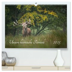 Unsere heimische Tierwelt (hochwertiger Premium Wandkalender 2025 DIN A2 quer), Kunstdruck in Hochglanz - Calvendo;Reibert, Björn