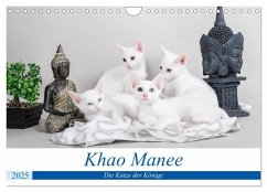 Khao Manee - Die Katze der Könige (Wandkalender 2025 DIN A4 quer), CALVENDO Monatskalender