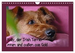 Kelly, der Irish Terrier - innen und außen aus Gold (Wandkalender 2025 DIN A4 quer), CALVENDO Monatskalender - Calvendo;Schimon, Claudia
