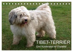 Tibet-Terrier - Eine Hunderasse mit Charakter (Tischkalender 2025 DIN A5 quer), CALVENDO Monatskalender