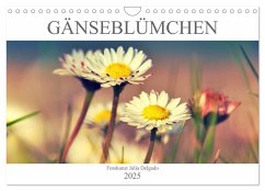 Gänseblümchen Poesie (Wandkalender 2025 DIN A4 quer), CALVENDO Monatskalender