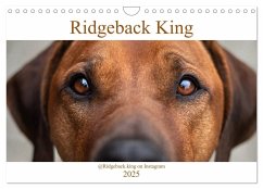 Ridgeback King (Wandkalender 2025 DIN A4 quer), CALVENDO Monatskalender