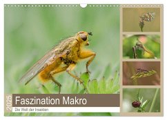 Faszination Makro - Die Welt der Insekten (Wandkalender 2025 DIN A3 quer), CALVENDO Monatskalender