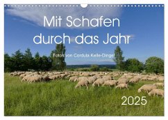 Mit Schafen durch das Jahr (Wandkalender 2025 DIN A3 quer), CALVENDO Monatskalender