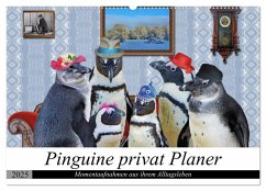 Pinguine privat Planer (Wandkalender 2025 DIN A2 quer), CALVENDO Monatskalender - Calvendo;glandarius, Garrulus