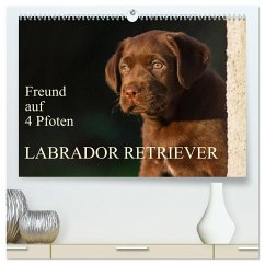 Freund auf 4 Pfoten - Labrador Retriever (hochwertiger Premium Wandkalender 2025 DIN A2 quer), Kunstdruck in Hochglanz