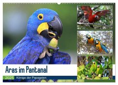 Aras im Pantanal (Wandkalender 2025 DIN A2 quer), CALVENDO Monatskalender