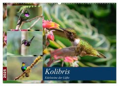 Kolibris - Edelsteine der Lüfte (Wandkalender 2025 DIN A2 quer), CALVENDO Monatskalender