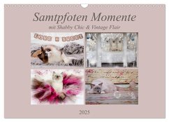 Samtpfoten Momente mit Shabby Chic & Vintage Flair (Wandkalender 2025 DIN A3 quer), CALVENDO Monatskalender - Calvendo;Reiß-Seibert, Marion