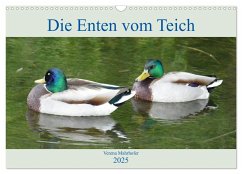 Die Enten vom Teich (Wandkalender 2025 DIN A3 quer), CALVENDO Monatskalender