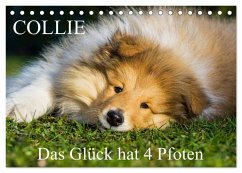 Collie - Das Glück hat 4 Pfoten (Tischkalender 2025 DIN A5 quer), CALVENDO Monatskalender