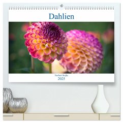 Dahlien - Blumenwunder der Natur (hochwertiger Premium Wandkalender 2025 DIN A2 quer), Kunstdruck in Hochglanz - Calvendo;Stojke, Norbert