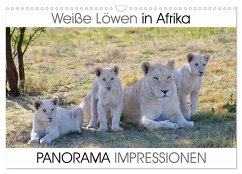 Weiße Löwen in Afrika PANORAMA IMPRESSIONEN (Wandkalender 2025 DIN A3 quer), CALVENDO Monatskalender - Calvendo;Fraatz, Barbara