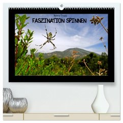 Faszination Spinnen (hochwertiger Premium Wandkalender 2025 DIN A2 quer), Kunstdruck in Hochglanz - Calvendo;Trapp, Benny