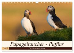 Papageitaucher - Puffins (Wandkalender 2025 DIN A3 quer), CALVENDO Monatskalender