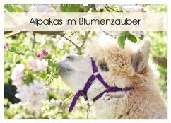 Alpakas im Blumenzauber (Wandkalender 2025 DIN A2 quer), CALVENDO Monatskalender - Calvendo;Rentschler, Heidi