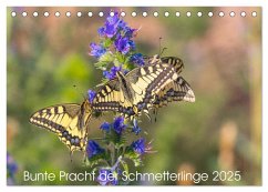 Bunte Pracht der Schmetterlinge (Tischkalender 2025 DIN A5 quer), CALVENDO Monatskalender