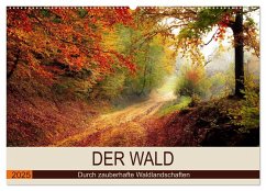 Der Wald. Durch zauberhafte Waldlandschaften (Wandkalender 2025 DIN A2 quer), CALVENDO Monatskalender