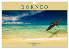 Borneo - Exotische Faszination (Wandkalender 2025 DIN A4 quer), CALVENDO Monatskalender - Calvendo;Wünsche, Arne