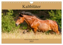 Kaltblüter - Schwere Pferde mit Charme (Wandkalender 2025 DIN A4 quer), CALVENDO Monatskalender - Calvendo;Bölts, Meike