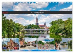 Ulm für Nestspatzen (Wandkalender 2025 DIN A3 quer), CALVENDO Monatskalender