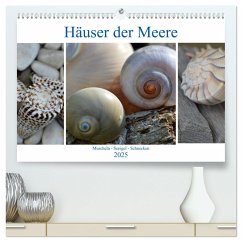 Häuser der Meere: Muscheln - Seeigel - Schnecken (hochwertiger Premium Wandkalender 2025 DIN A2 quer), Kunstdruck in Hochglanz