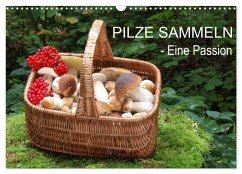 Pilze sammeln - eine Passion (Wandkalender 2025 DIN A3 quer), CALVENDO Monatskalender