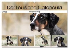 Der Louisiana Catahoula Leopard Dog (Wandkalender 2025 DIN A2 quer), CALVENDO Monatskalender - Calvendo;Schnellewelten