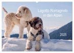 Lagotto Romagnolo in den Alpen 2025 (Wandkalender 2025 DIN A2 quer), CALVENDO Monatskalender