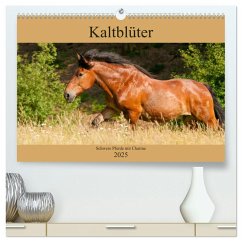 Kaltblüter - Schwere Pferde mit Charme (hochwertiger Premium Wandkalender 2025 DIN A2 quer), Kunstdruck in Hochglanz - Calvendo;Bölts, Meike