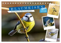 Gefiederte Gartengäste, Blaumeisen (Tischkalender 2025 DIN A5 quer), CALVENDO Monatskalender