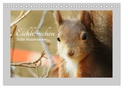 Eichhörnchen - Süße Nussknacker (Tischkalender 2025 DIN A5 quer), CALVENDO Monatskalender - Calvendo;Fofino