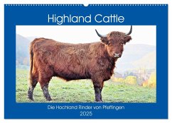 Highland Cattle, die Hochlandrinder aus Pfeffingen (Wandkalender 2025 DIN A2 quer), CALVENDO Monatskalender