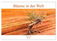 Bäume in der Welt (Wandkalender 2025 DIN A3 quer), CALVENDO Monatskalender