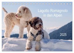 Lagotto Romagnolo in den Alpen 2025 (Tischkalender 2025 DIN A5 quer), CALVENDO Monatskalender