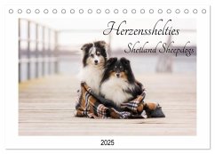 Herzensshelties - Shetland Sheepdogs (Tischkalender 2025 DIN A5 quer), CALVENDO Monatskalender - Calvendo;Kudla, Madlen