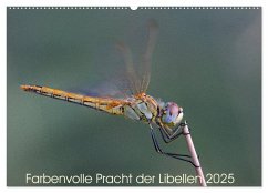 Farbenvolle Pracht der Libellen (Wandkalender 2025 DIN A2 quer), CALVENDO Monatskalender