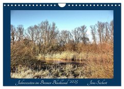 Jahreszeiten im Bremer Blockland (Wandkalender 2025 DIN A4 quer), CALVENDO Monatskalender - Calvendo;Siebert, Jens