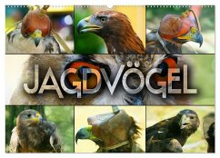 Jagdvögel (Wandkalender 2025 DIN A2 quer), CALVENDO Monatskalender
