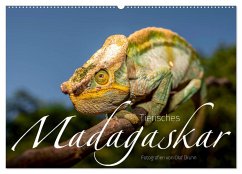 Tierisches Madagaskar (Wandkalender 2025 DIN A2 quer), CALVENDO Monatskalender