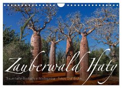 Zauberwald Ifaty · Traumhafte Baobabs in Madagaskar (Wandkalender 2025 DIN A4 quer), CALVENDO Monatskalender - Calvendo;Bruhn, Olaf