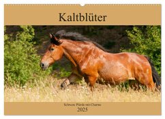 Kaltblüter - Schwere Pferde mit Charme (Wandkalender 2025 DIN A2 quer), CALVENDO Monatskalender - Calvendo;Bölts, Meike