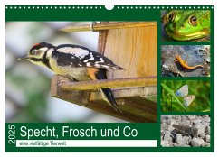 Specht, Frosch und Co - eine vielfältige Tierwelt (Wandkalender 2025 DIN A3 quer), CALVENDO Monatskalender