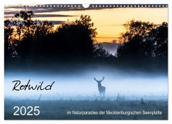 Rotwild - im Naturparadies der Mecklenburgischen Seenplatte (Wandkalender 2025 DIN A3 quer), CALVENDO Monatskalender - Calvendo;Pretzel - FotoPretzel, André