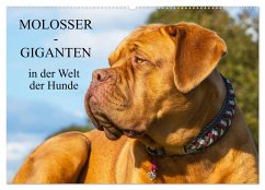 Molosser - Giganten in der Welt der Hunde (Wandkalender 2025 DIN A2 quer), CALVENDO Monatskalender