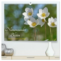 Naturwunder Blüten (hochwertiger Premium Wandkalender 2025 DIN A2 quer), Kunstdruck in Hochglanz - Calvendo;Kelle-Dingel CoKeDi-Photographie, Cordula