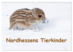 Nordhessens Tierkinder (Wandkalender 2025 DIN A3 quer), CALVENDO Monatskalender - Calvendo;Martin, Wilfried