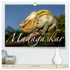 Tierisches Madagaskar (hochwertiger Premium Wandkalender 2025 DIN A2 quer), Kunstdruck in Hochglanz