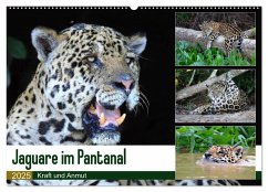 Jaguare im Pantanal (Wandkalender 2025 DIN A2 quer), CALVENDO Monatskalender - Calvendo;und Michael Herzog, Yvonne